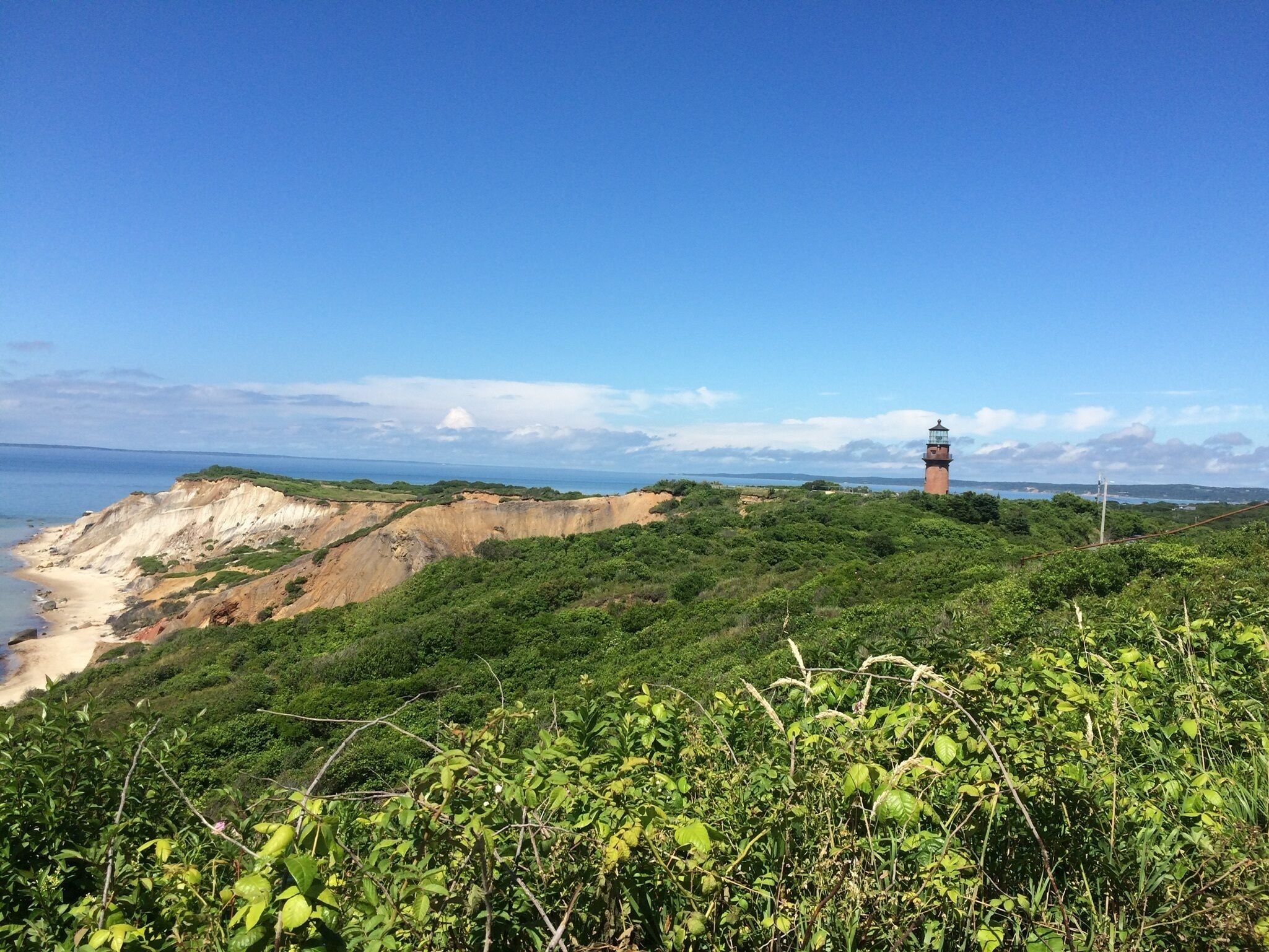 A coastal landscape with a lighthouse, sandy beach, and dense greenery.