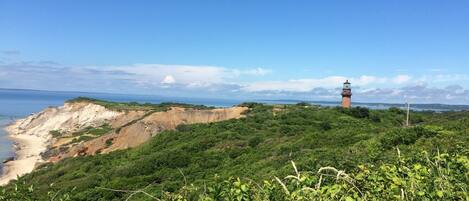 A coastal landscape with a lighthouse, sandy beach, and dense greenery.