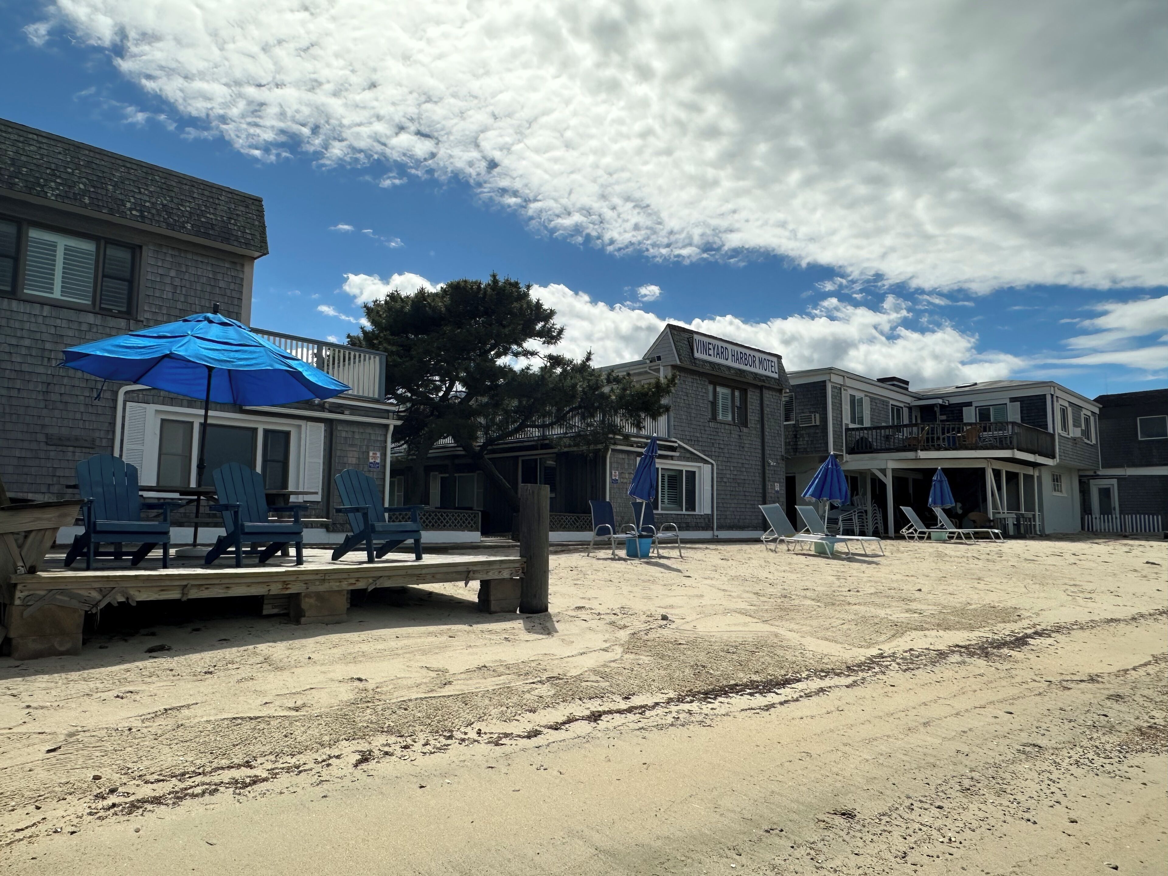 A beachside motel with outdoor seating and umbrellas, a large tree, and a clear sky.