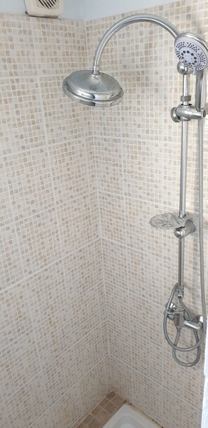 Shower, towels, toilet paper