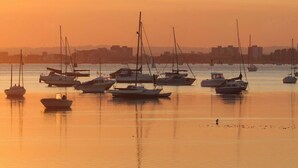 Un puerto con varios veleros anclados en aguas tranquilas durante el atardecer.