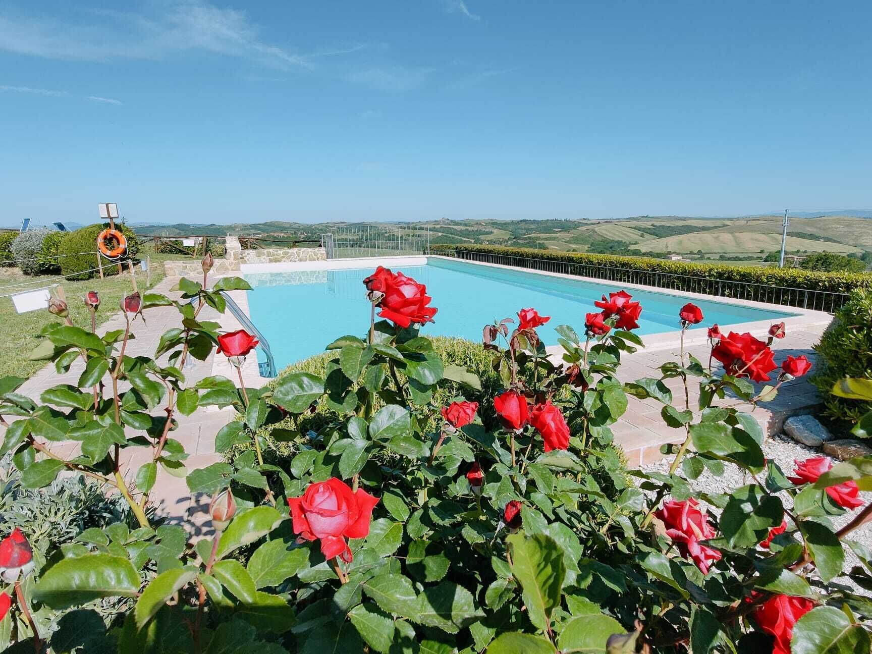 Piscina a l'aire lliure 