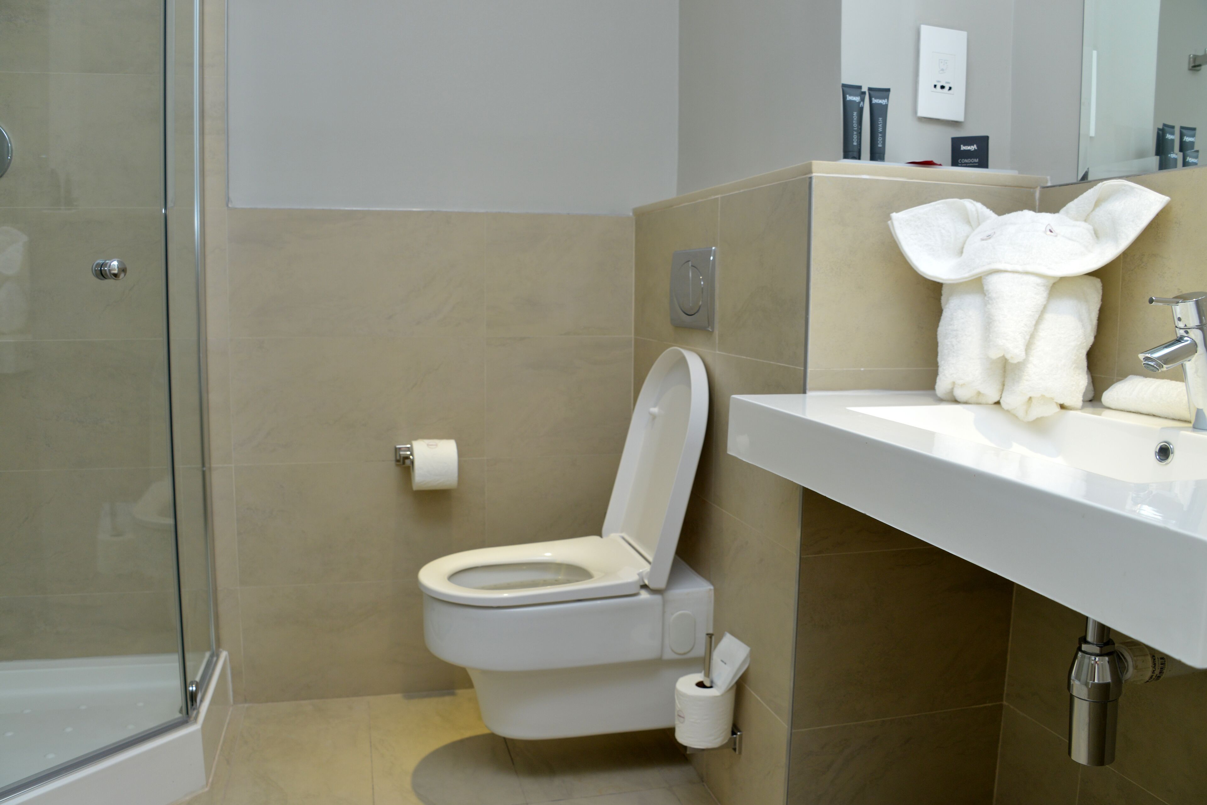 standard double room | bathroom | separate bathtub and shower, hair dryer, towels, soap