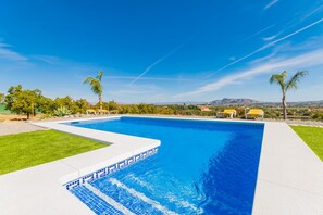 Una piscina rectangular con borde blanco, rodeada de césped y palmeras.