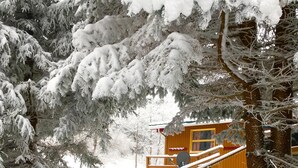 Une cabane en bois avec une terrasse et des escaliers recouverts de neige, menant à une fenêtre.