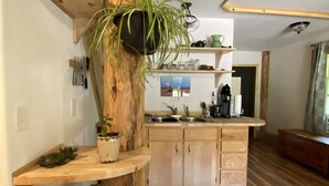 Una cocina con armarios de madera, una isla central y una planta colgante.