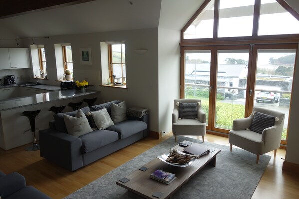 Smart TV, fireplace, DVD player, books