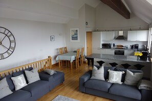 Smart TV, fireplace, DVD player, books