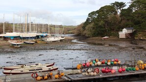 Un puerto deportivo con barcos amarrados y boyas de colores en una plataforma de madera.