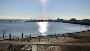 Vista costera con una playa arenosa, un muelle y un puerto deportivo con barcos y edificios.