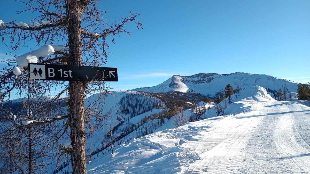 Foto de perfil del anfitrión