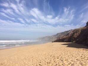 Plage à proximité, chaises longues, serviettes de plage