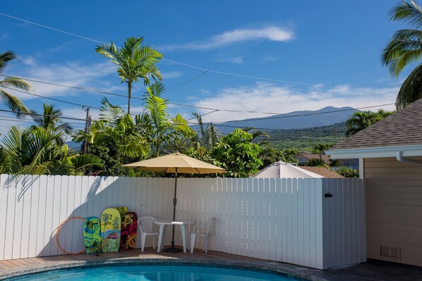 A backyard with a swimming pool, a white fence, palm trees, and a view of a mountain.