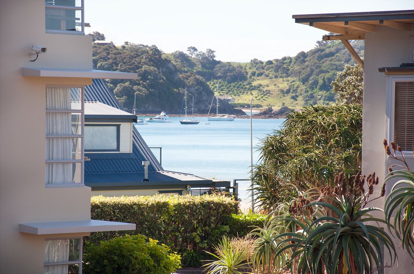 A coastal view with a marina, buildings with balconies, and lush greenery.