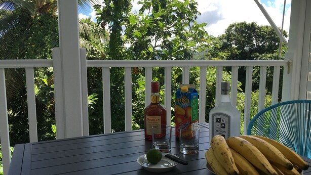 A table with a bottle of Shrubb J.M., a carton of Royal Nectar, a bottle of Neisson, a plate with a lime, and a bunch of bananas. - Kaymargo, Creole bungalow (Saint-Esprit)