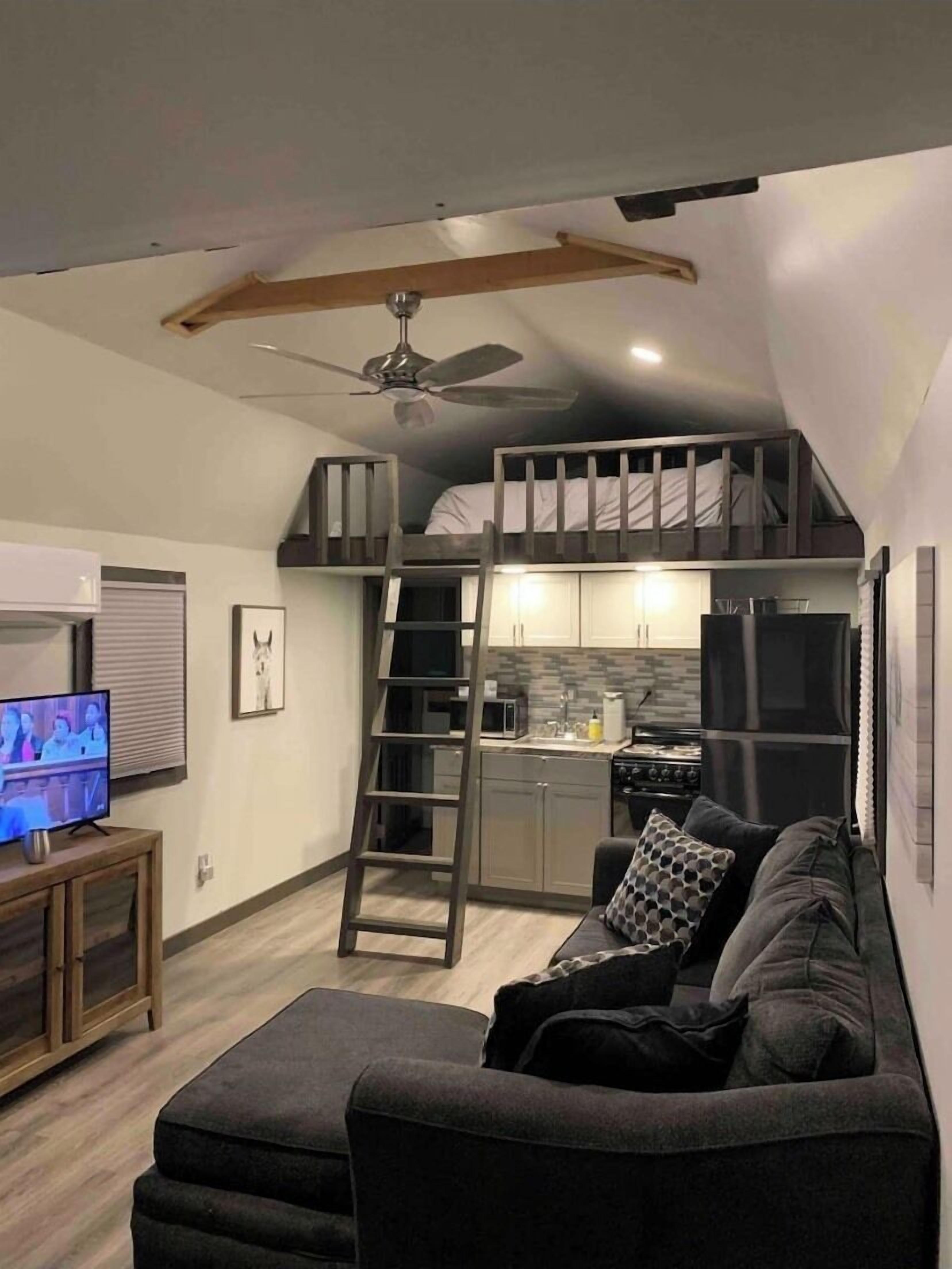 TV connectée, cheminée, livres