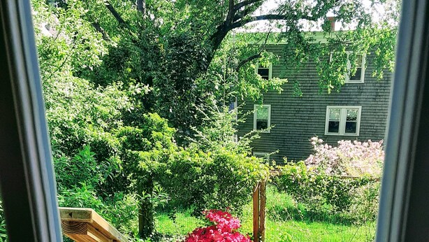 A view through a window of a wooden deck leading to a grassy yard with a red flowering bush and a house in the background. - Panoramic view, large deck, ground floor apartment, walk to subway and beach (Boston)