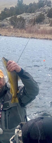 True Montana Log Cabin, Yellowstone Park, Ennis, Madison River Fishing,  4+2.5
