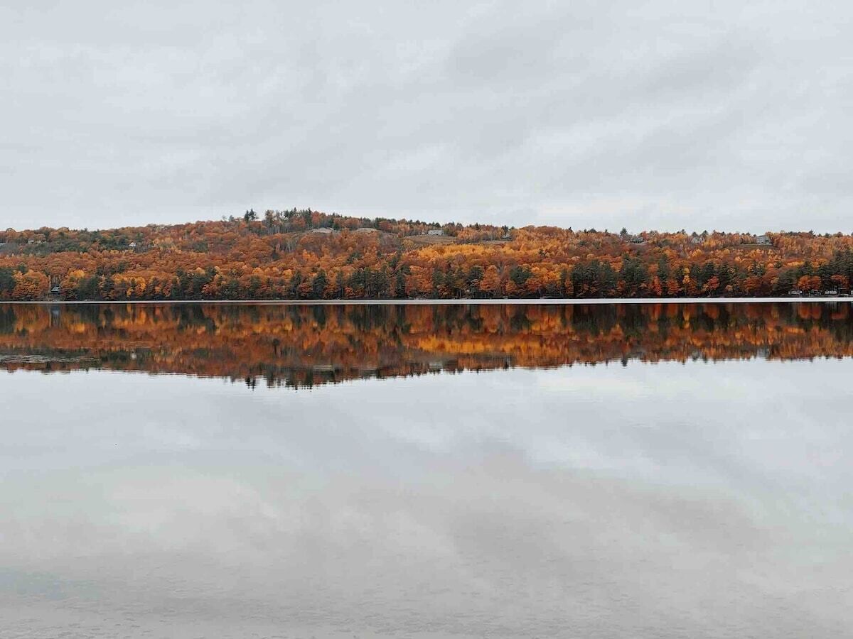 Um lago sereno refletindo um morro coberto de árvores.
