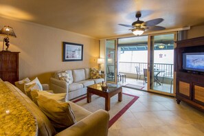 Smart TV, DVD player, books, music library