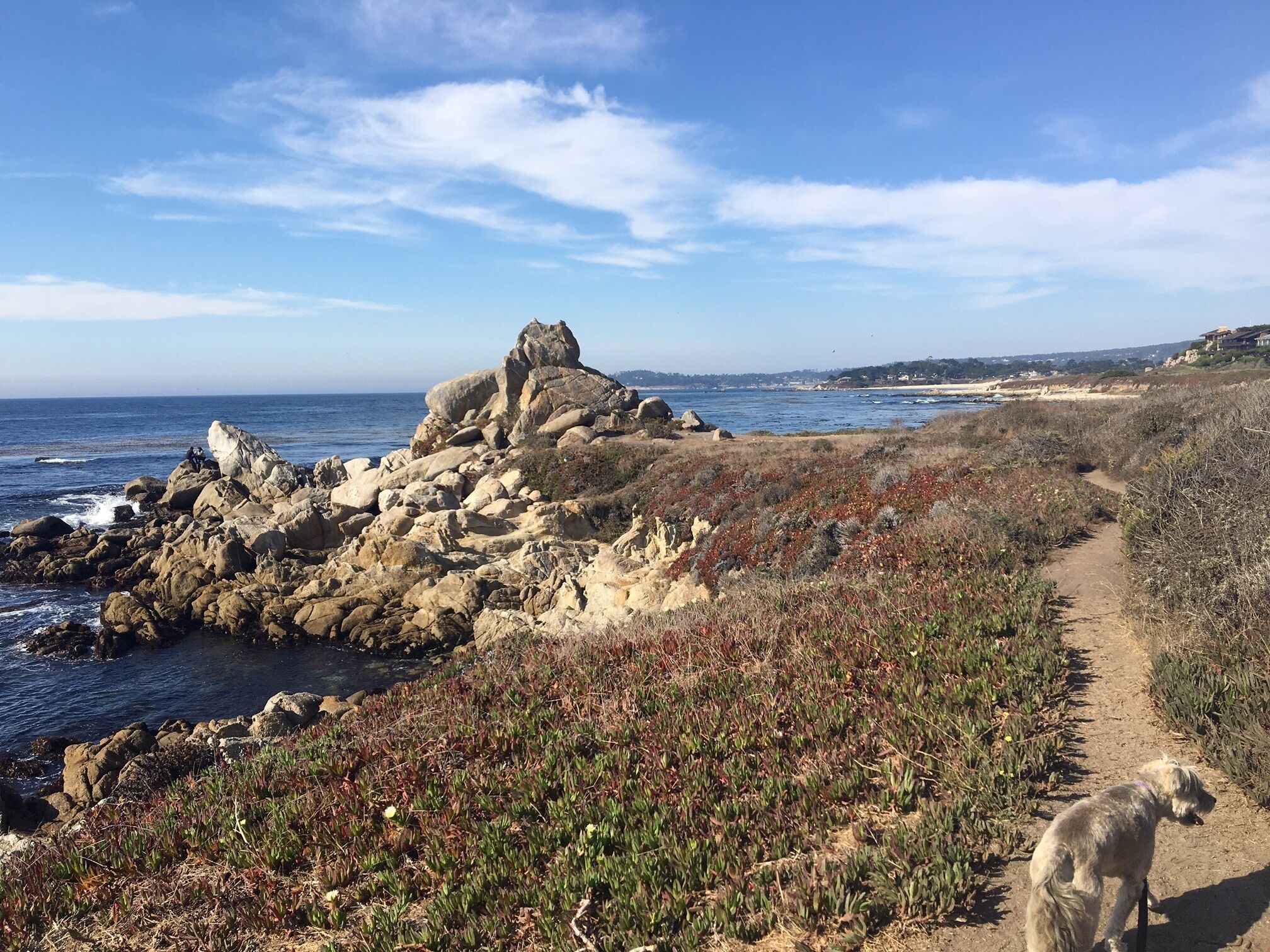 Plage à proximité, chaises longues, serviettes de plage
