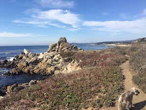 In Strandnähe, Liegestühle, Strandtücher