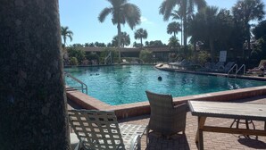 Piscina com cadeiras de espreguiçadeira e uma palmeira ao fundo.