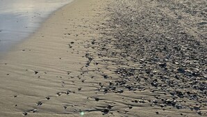 Una playa con una extensa orilla arenosa, rocas dispersas y una vista distante de edificios bajo un cielo al atardecer.