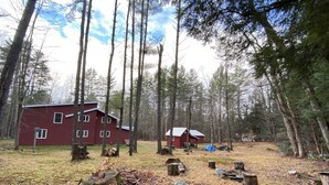 Eine rote Holzhütte mit Metall-Dach, umgeben von einem Wald mit hohen Bäumen und einer grünen Lichtung.