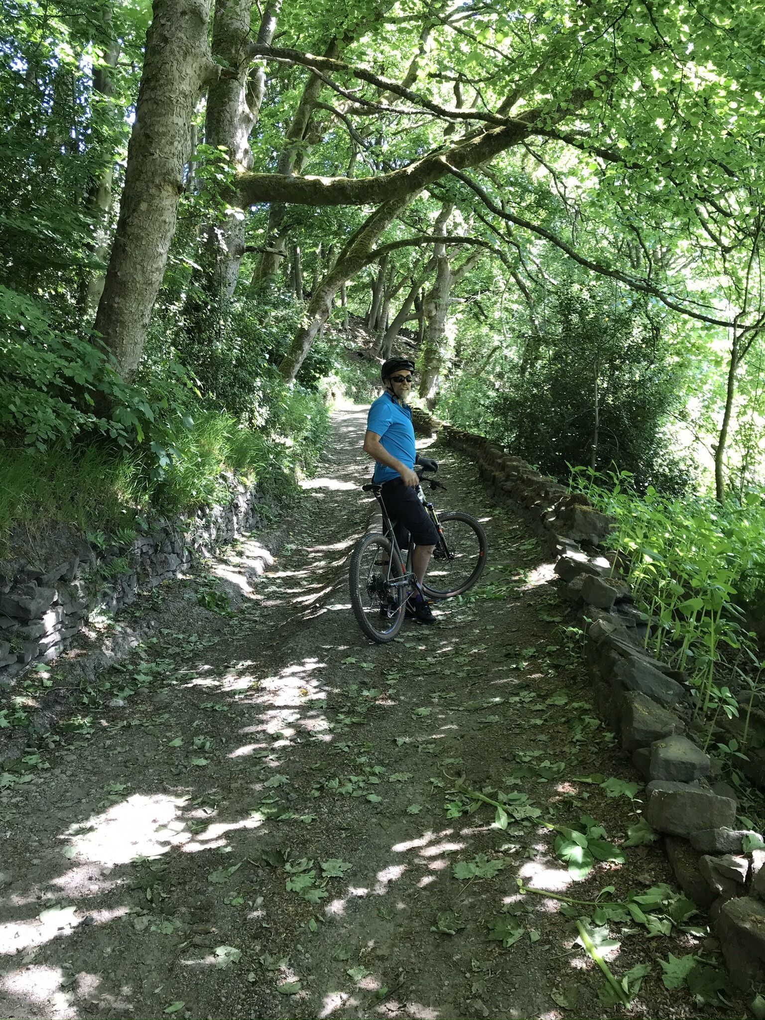 A person on a mountain bike on a dirt path surrounded by trees.