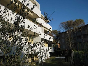 Set amidst mature olive trees, this building offers a serene Mediterranean retreat.