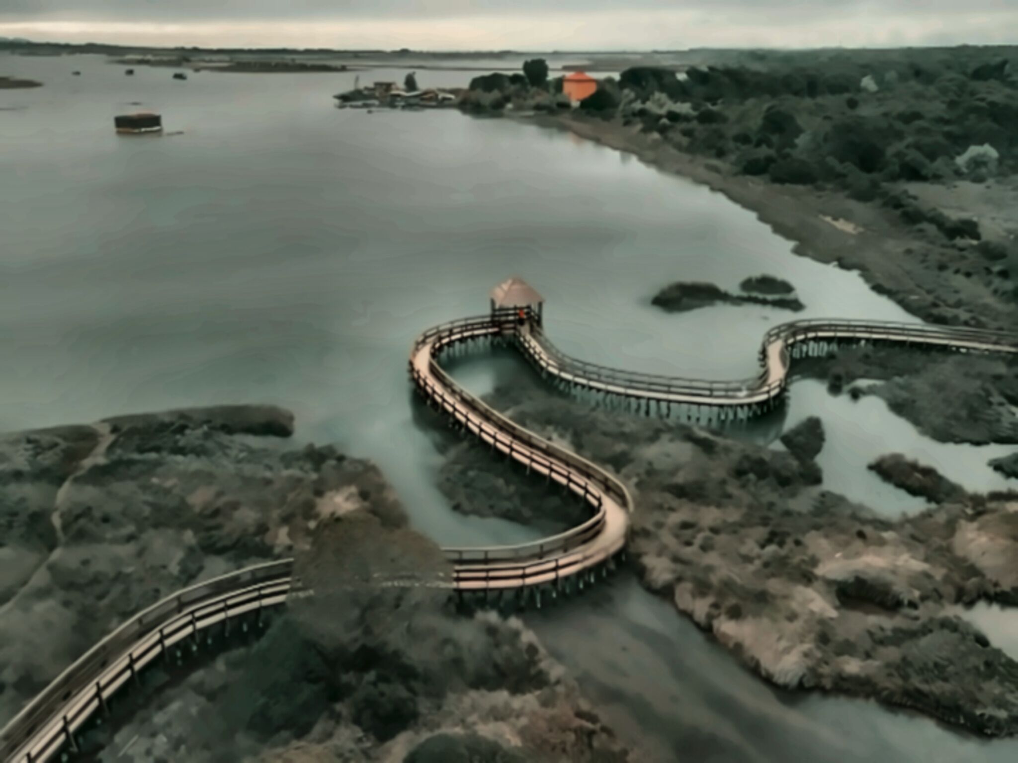 Vista aérea de un muelle sinuoso que se adentra en una masa de agua, rodeado de vegetación densa.