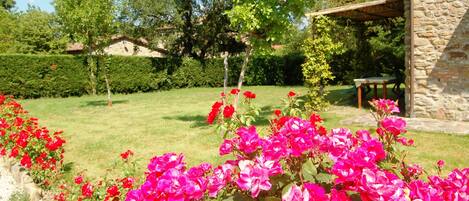 Apartment, 2 Bedrooms, Smoking, Patio | Exterior