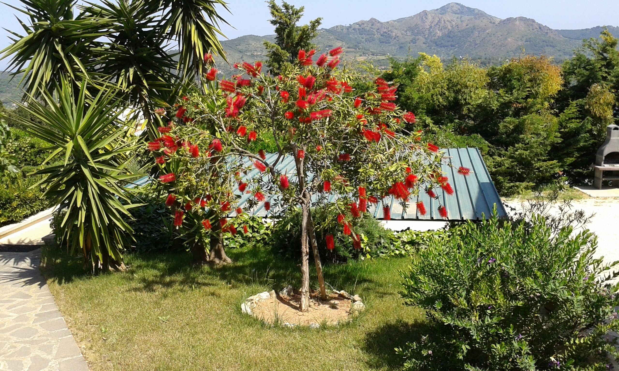 Jardín