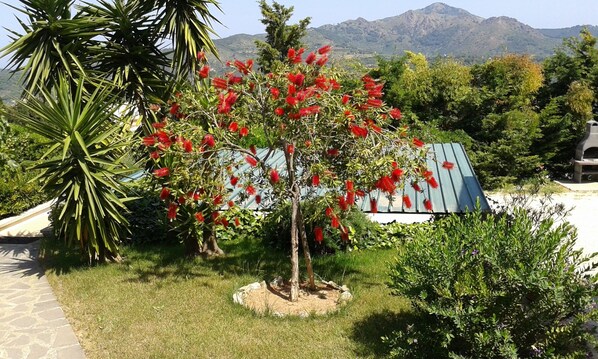 Apartment, 1 Schlafzimmer, Raucher, Balkon | Unterkunftsgelände