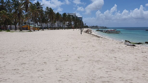 Een strand met wit zand, palmbomen en boten op het water.