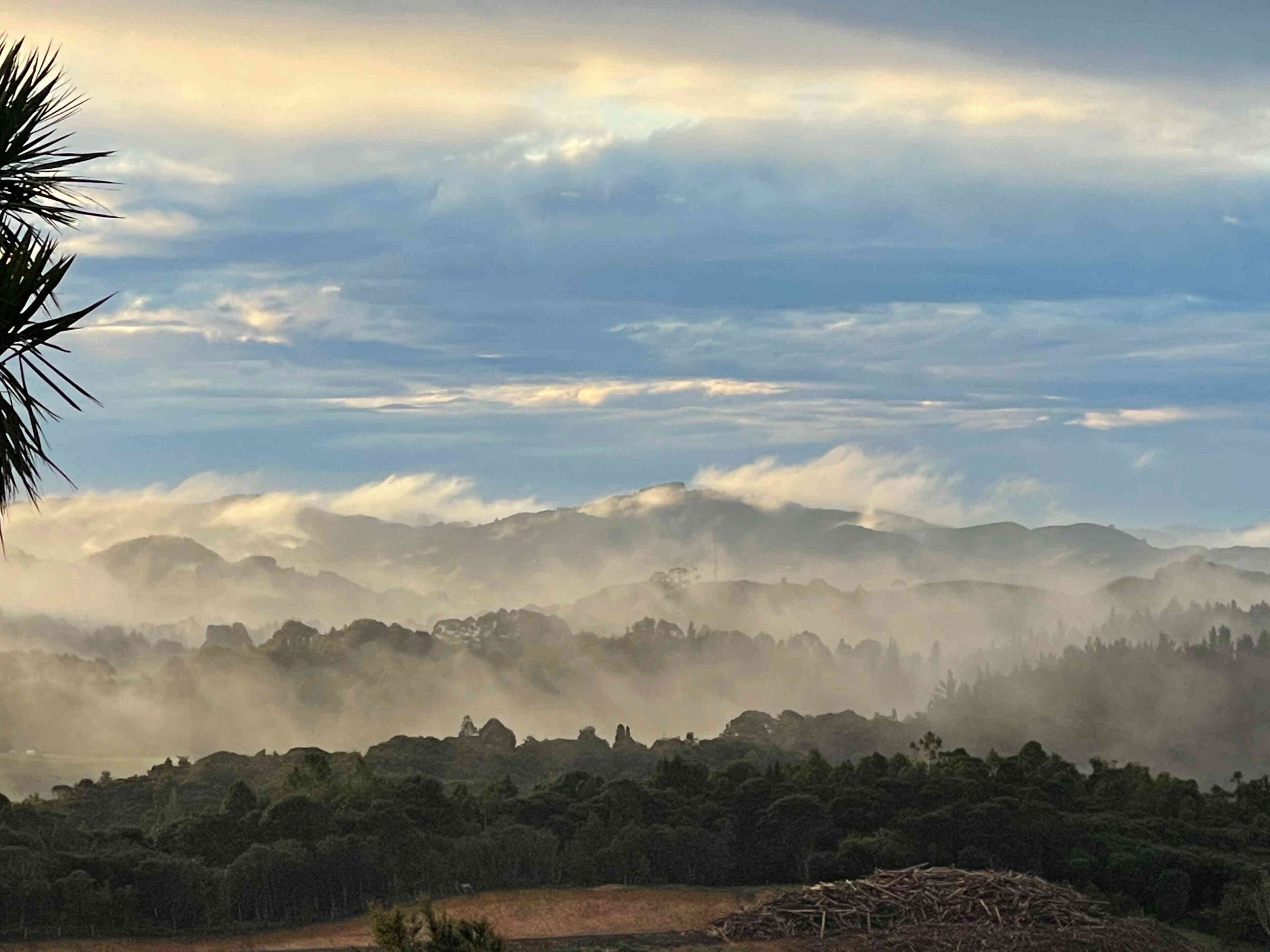 A landscape with a forested area and distant mountains under a cloudy sky.