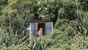 A small, modern wooden structure surrounded by dense greenery.