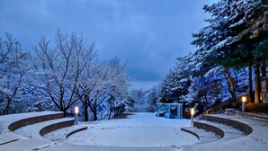 Un sendero cubierto de nieve que conduce a una estructura de vidrio con bancos, rodeado de árboles.