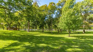 Un parque con césped verde y árboles.