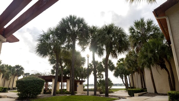 Une cour intérieure agrémentée de palmiers, d’une pergola et offrant une vue sur l’eau.