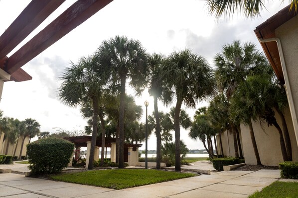 Relax amidst lush palm trees and a beautifully manicured lawn, with a pergola offering a serene outdoor seating area overlooking a tranquil body of water.
