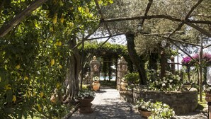A garden pathway with potted plants and a stone structure. - La rosa, Luxury villa private pool Equipped With Conforts, wide garden,parking (Sorrento)