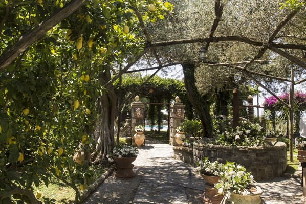 A garden pathway with potted plants and a stone structure.