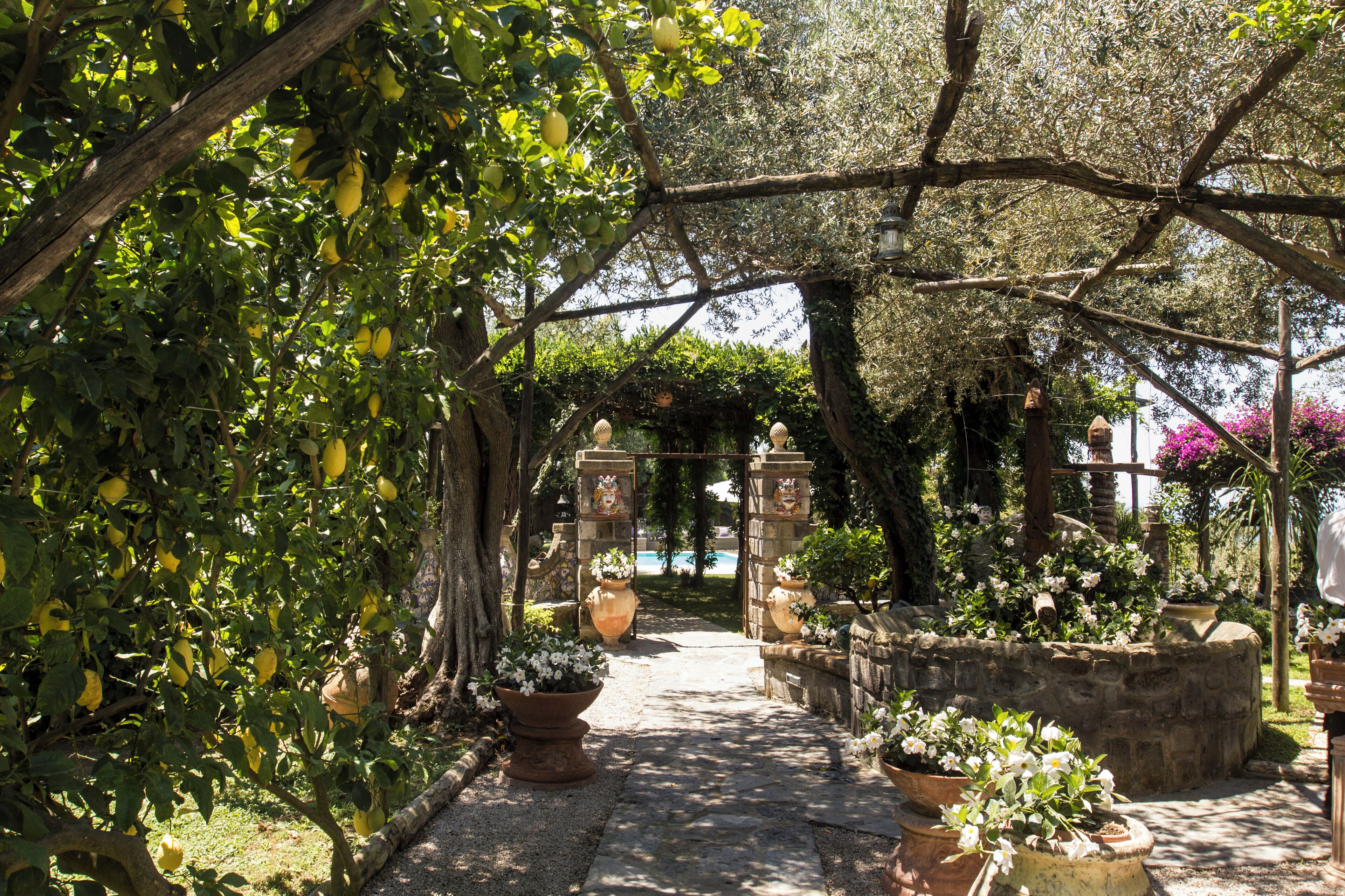 Overnattingsstedets uteområder