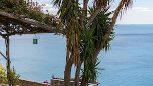 Blick auf die Küste mit blauem Himmel, ruhiger See und einem Baum mit hängenden Laternen.