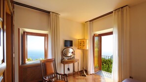 TV connectée, cheminée, chaîne hi-fi