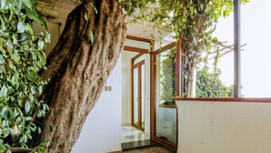 Quarto com um grande tronco de árvore, uma porta de vidro que dá para outro espaço e piso de azulejos.