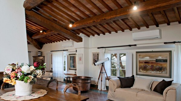 TV, caminetto, lettore DVD, biblioteca musicale