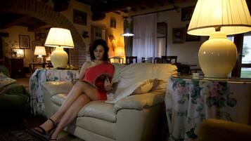 Smart-TV, Kamin, DVD-Player, Musikbibliothek